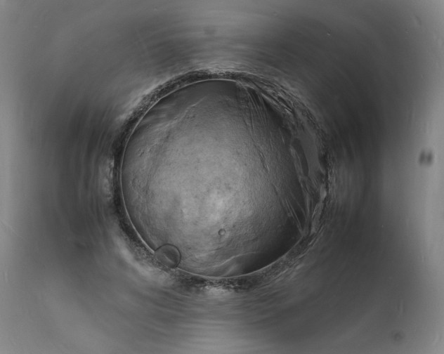 X0000112150592200908281342