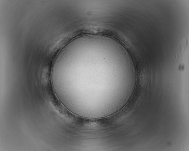 X0000112150594200908281342