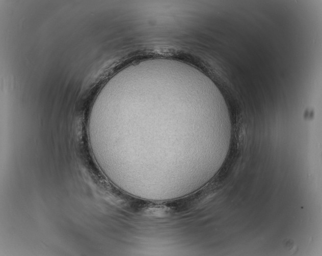 X0000112150595200908281342