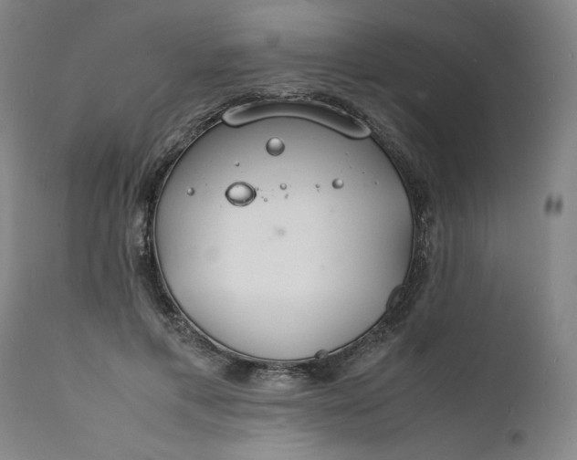 X0000112150597200908281342