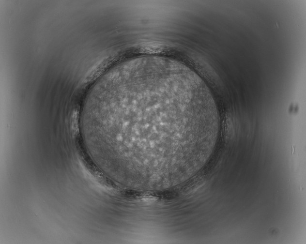 X0000112150598200908281342