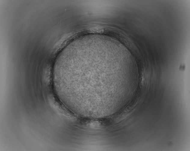 X0000112150600200908281342