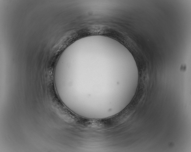 X0000112150601200908281342