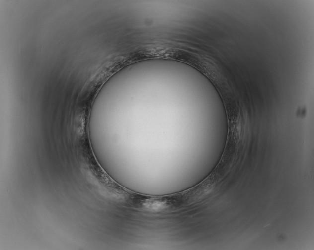 X0000112150602200908281342