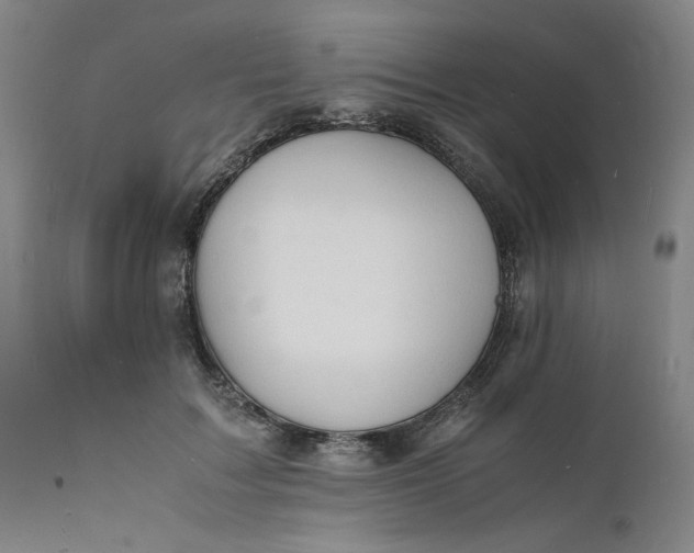 X0000112150603200908281342