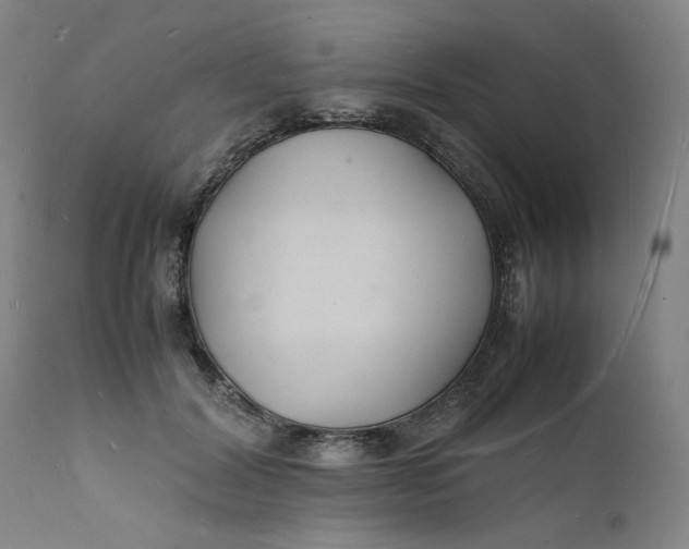 X0000112150604200908281342