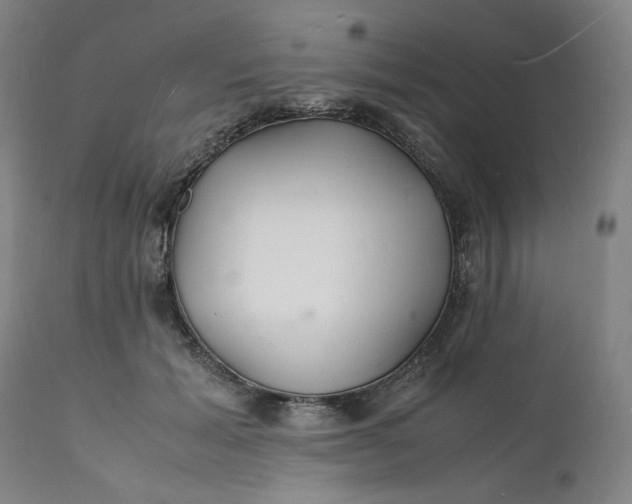 X0000112150605200908281341