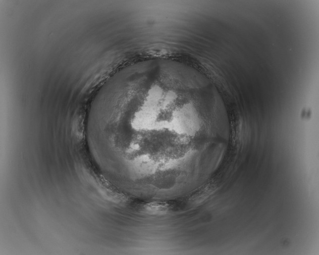 X0000112150606200908281341