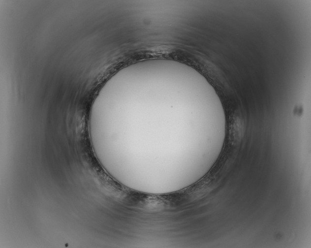 X0000112150608200908281341
