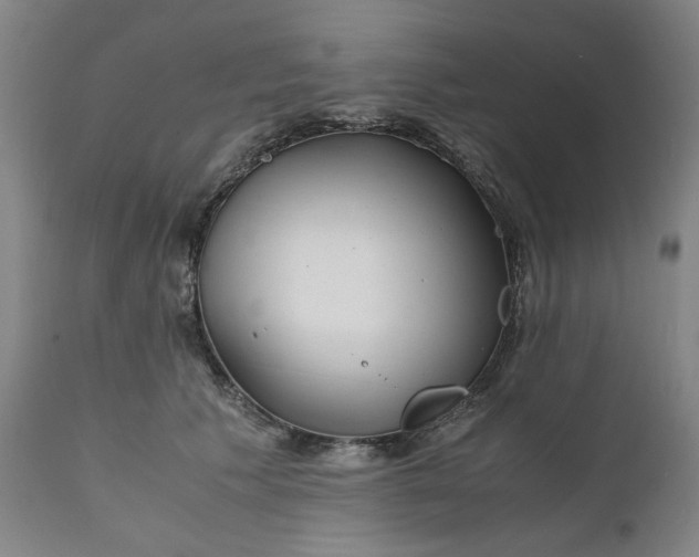 X0000112150609200908281341