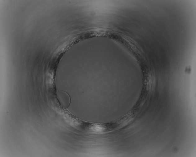 X0000112150610200908281341