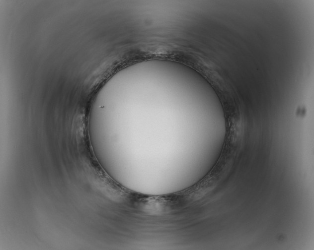 X0000112150612200908281341