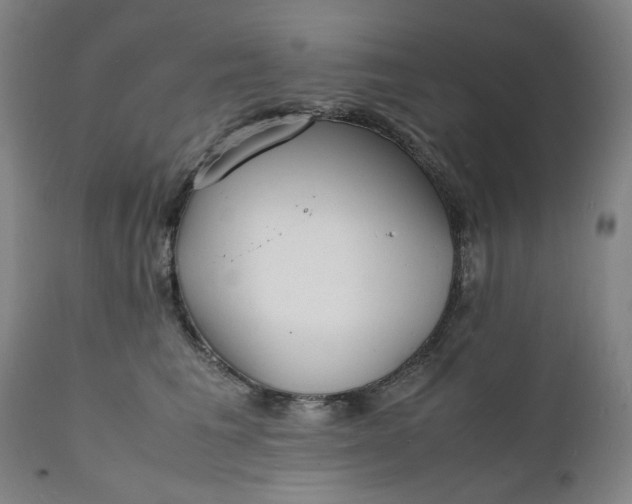 X0000112150613200908281341