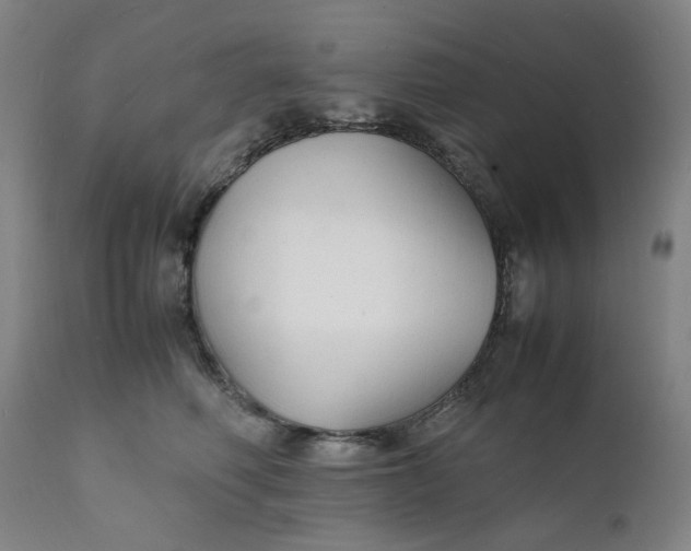 X0000112150614200908281341