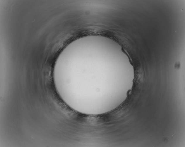 X0000112150615200908281341