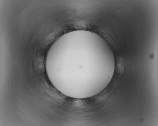X0000112150616200908281341