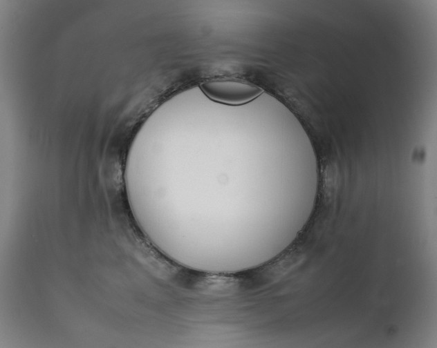 X0000112150617200908281341