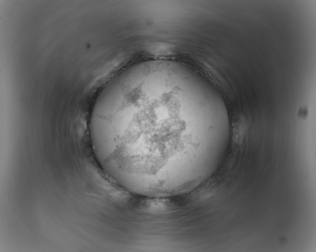 X0000112150618200908281341