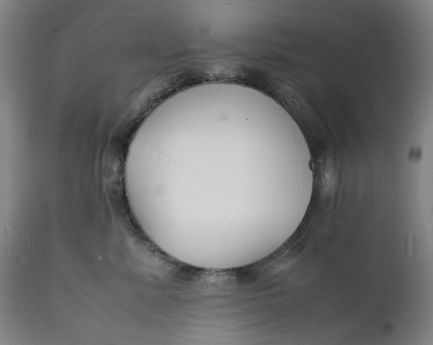 X0000112150619200908281341