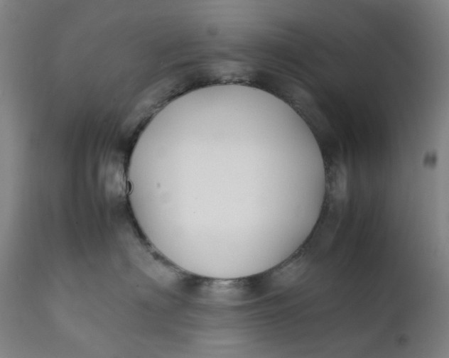 X0000112150622200908281341