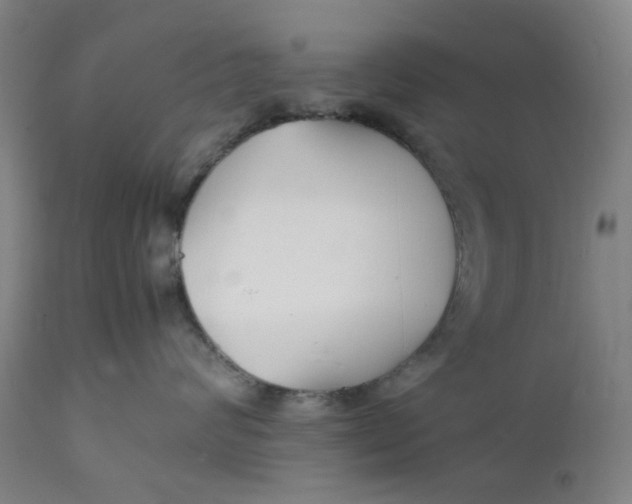 X0000112150624200908281341