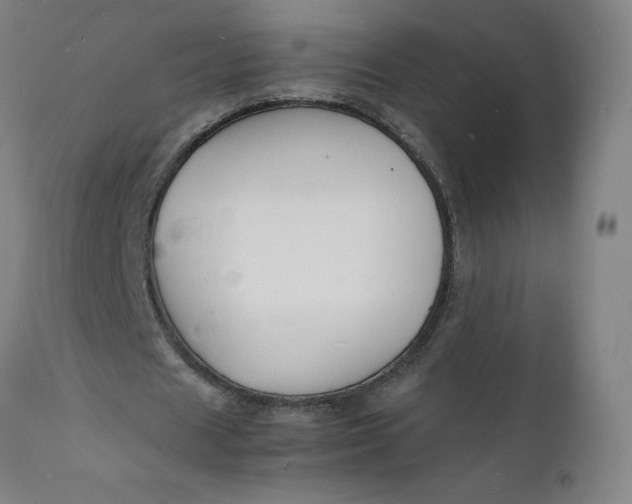 X0000112150625200908281340
