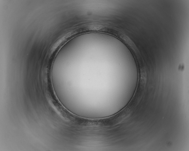 X0000112150626200908281340