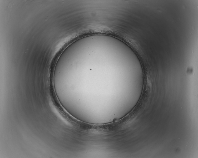X0000112150630200908281340