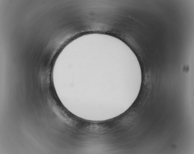 X0000112150632200908281340