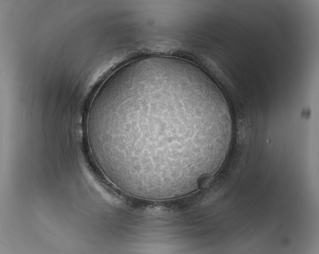 X0000112150634200908281341