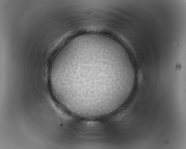 X0000112150637200908281341