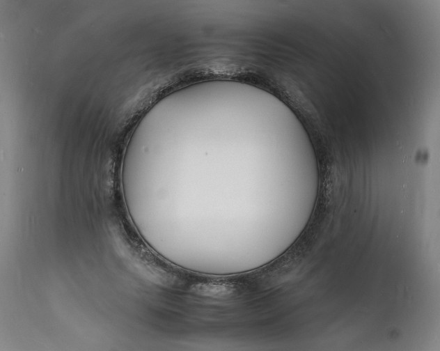 X0000112150639200908281341