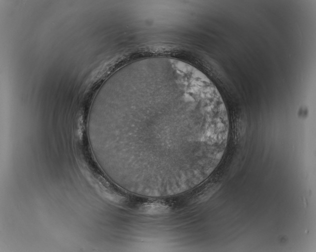 X0000112150644200908281341