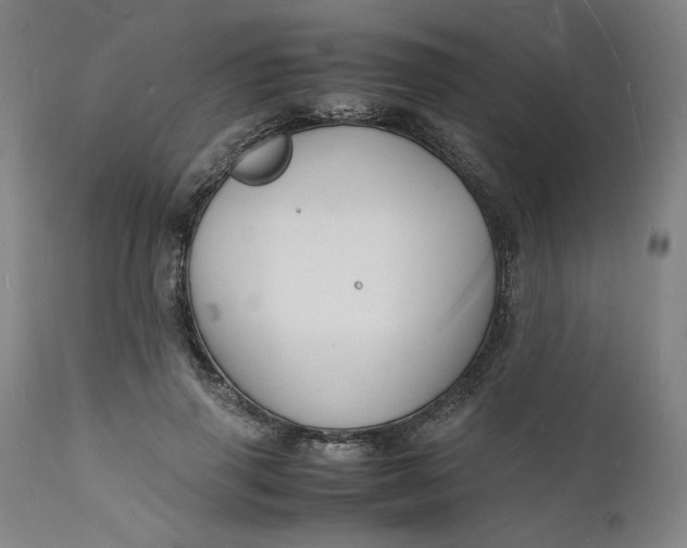 X0000112150645200908281341