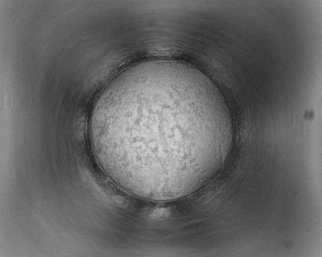X0000112150647200908281341