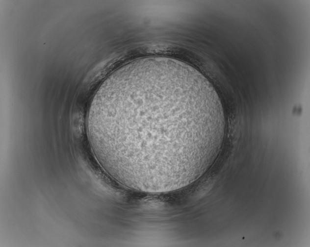 X0000112150648200908281341