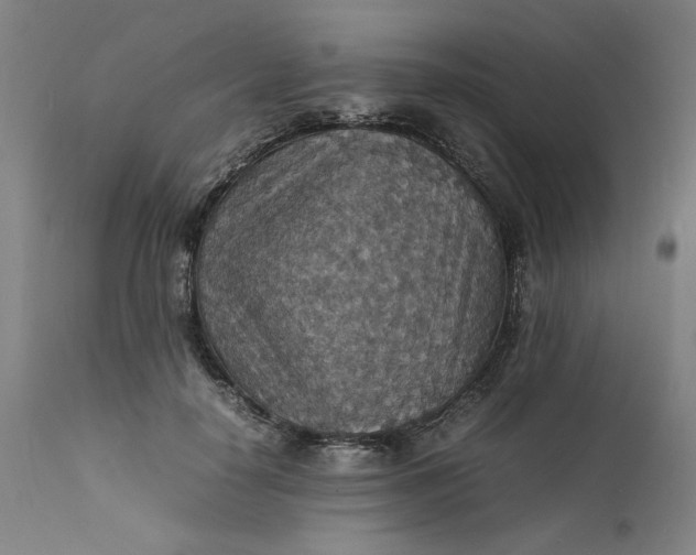 X0000112150650200908281341