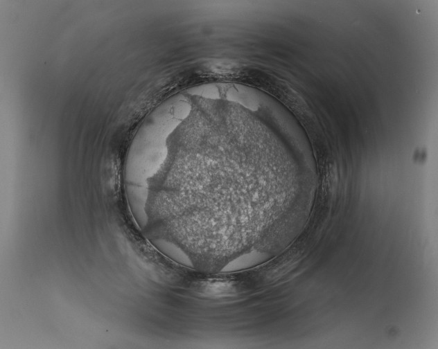X0000112150651200908281341