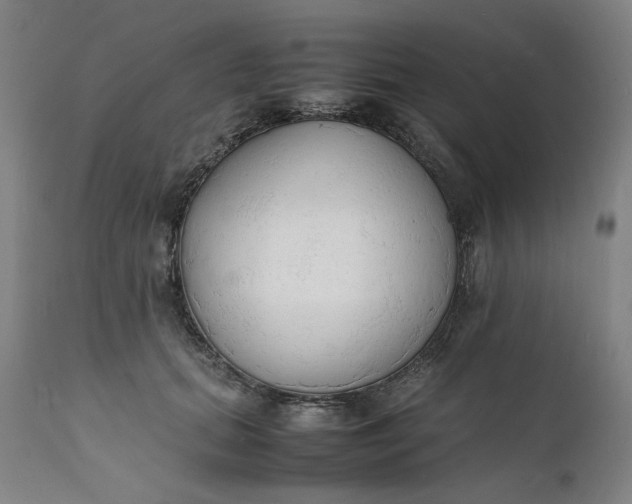 X0000112150655200908281341