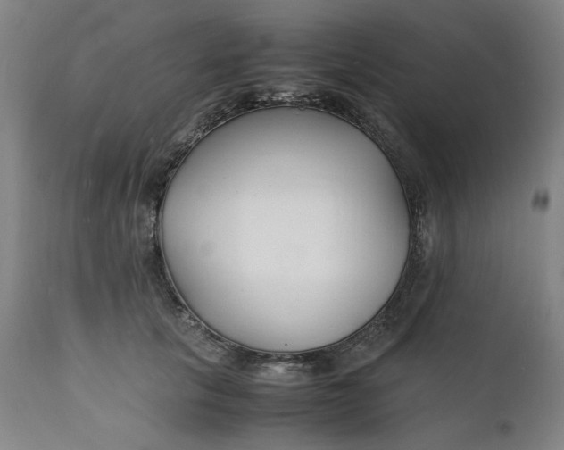X0000112150657200908281341