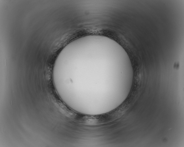 X0000112150658200908281341