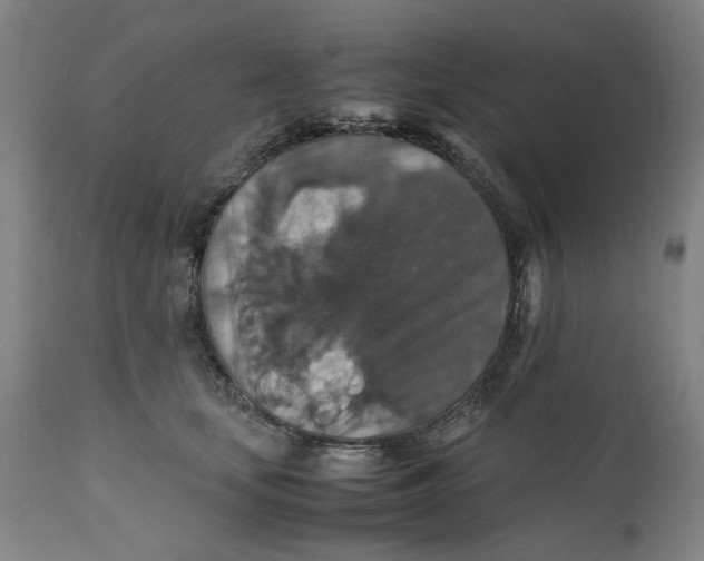 X0000112150659200908281341