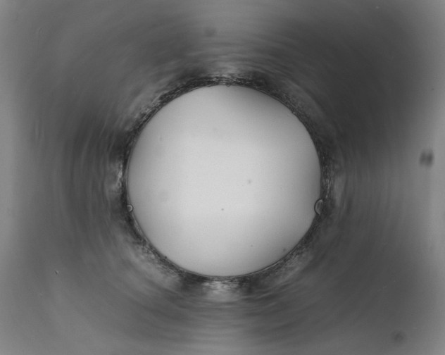 X0000112150660200908281341