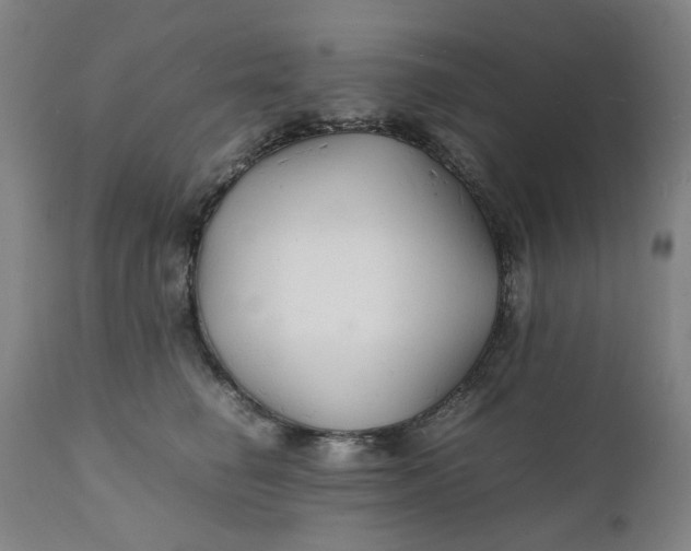 X0000112150662200908281341