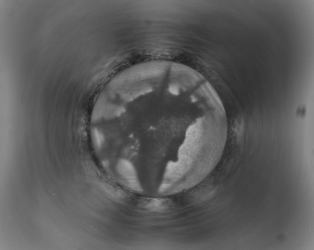 X0000112150663200908281341