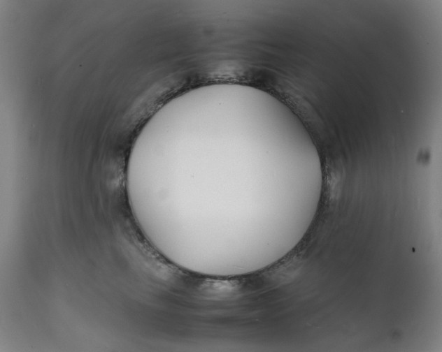 X0000112150665200908281341