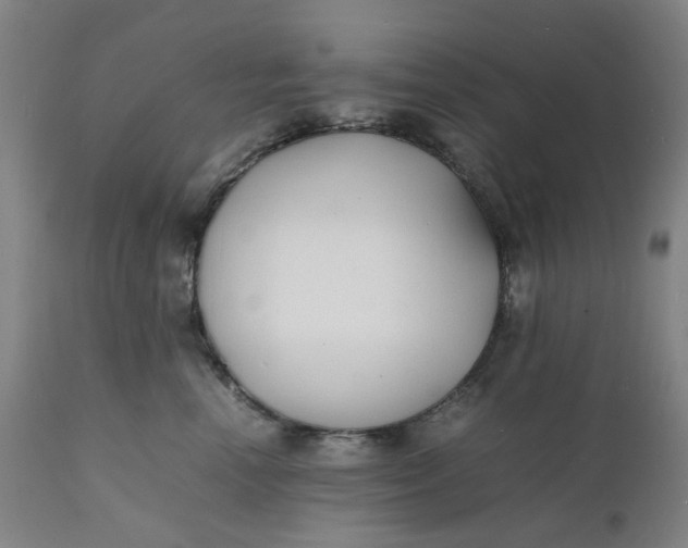 X0000112150666200908281341