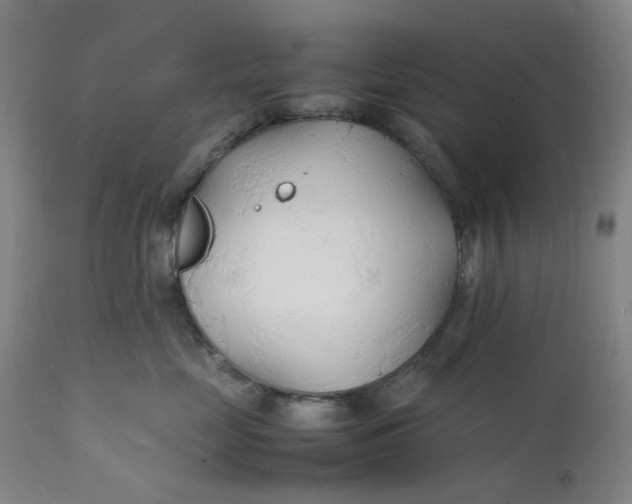 X0000112150669200908281341