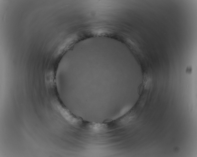 X0000112150670200908281341