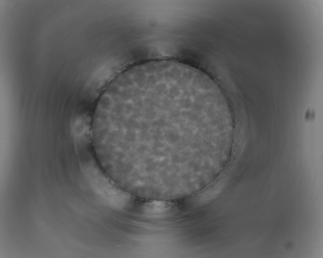 X0000112150672200908281341